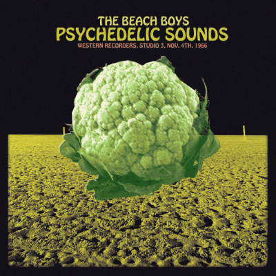 Cover art for Psychedelic Sounds by The Beach Boys