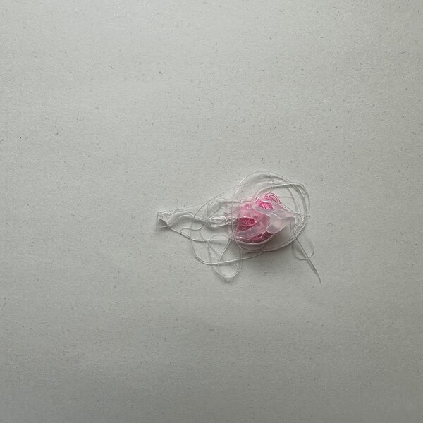 cagematch-by-gabby-start-single-reviews-ratings-credits-song-list