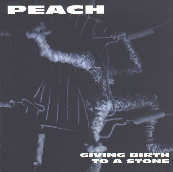 Giving Birth to a Stone by Peach (Album, Alternative Metal