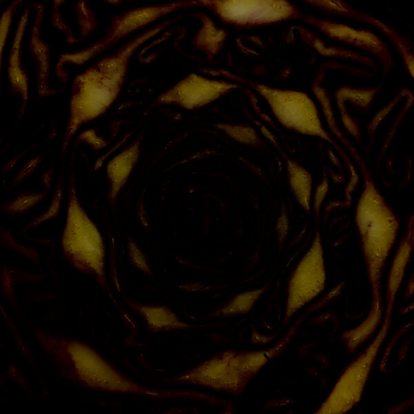 Biometrix by IRONS (Album): Reviews, Ratings, Credits, Song list - Rate ...