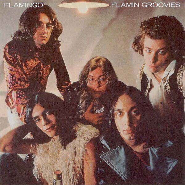 Flamin’ Groovies レコード　2枚組　1972年　オリジナル Flamin' Groovies レコード 2枚組 1972年 オリジナル 【公式通販】