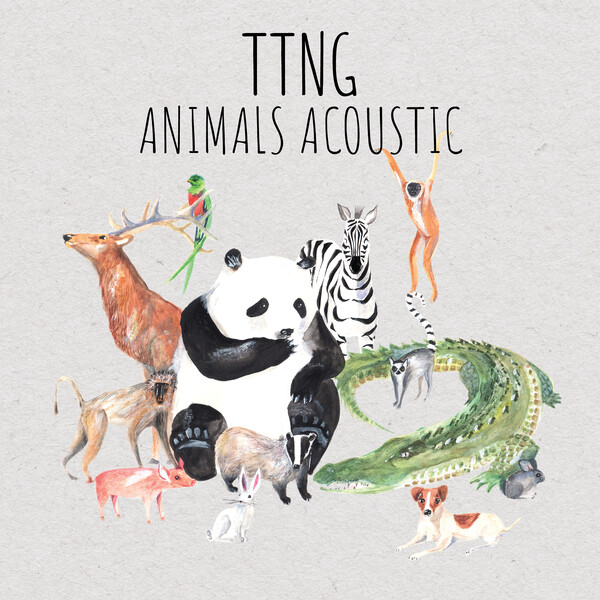 Animals Acoustic By Ttng Album Midwest Emo Reviews Ratings