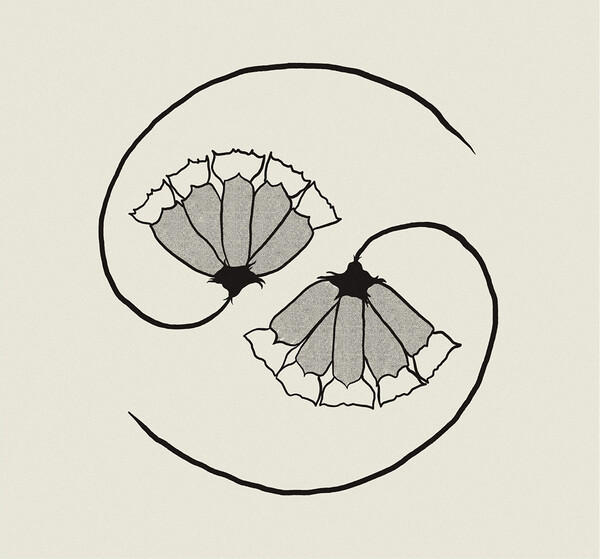 G_d's Pee AT STATE'S END! by Godspeed You! Black Emperor