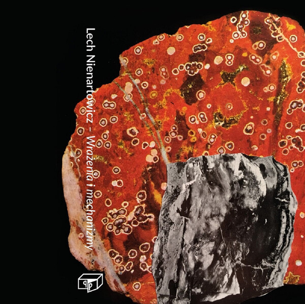 Cover art for Wrażenia i mechanizmy by Lech Nienartowicz