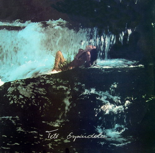 Cover art for Pássaros na garganta by Tetê Espíndola