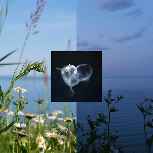 Nascent by Alexander Panos (Album, Glitch): Reviews, Ratings, Credits ...