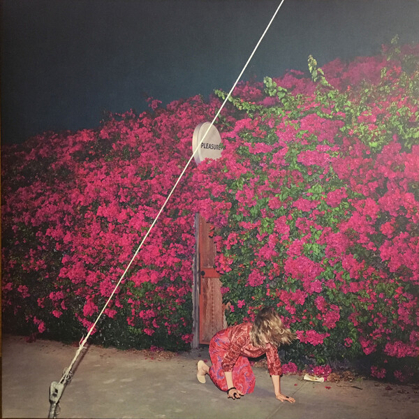 Pleasure by Feist (Album; Polydor; 5738238): Reviews