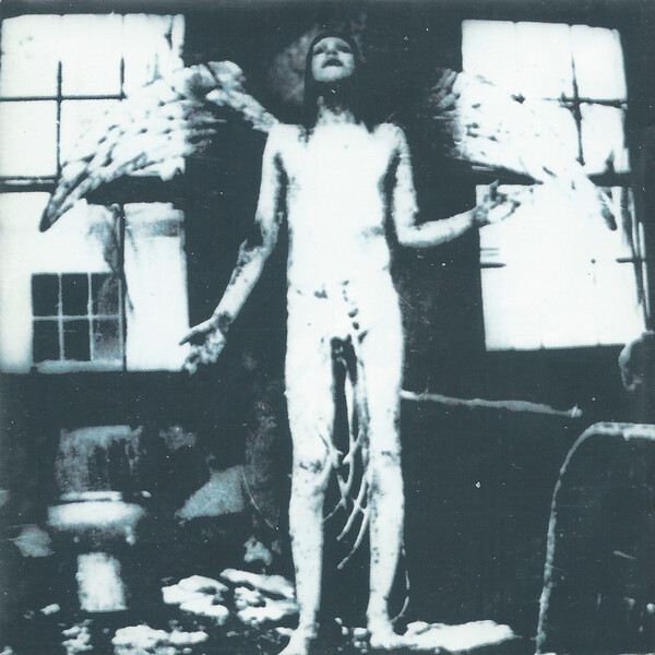 Antichrist Superstar by Marilyn Manson (Album; Nothing; IND