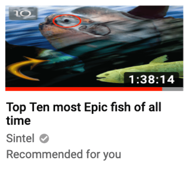 Top Ten most Epic fish of all time by Sintel (Album, Ambient): Reviews ...