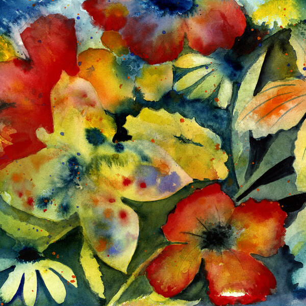 songs by adrianne lenker.