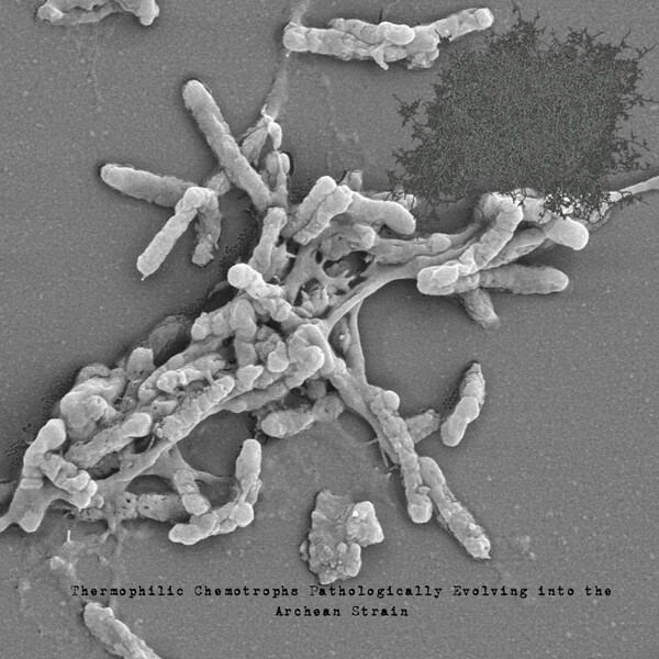 Thermophilic Chemotrophs Pathologically Evolving into the Archean ...