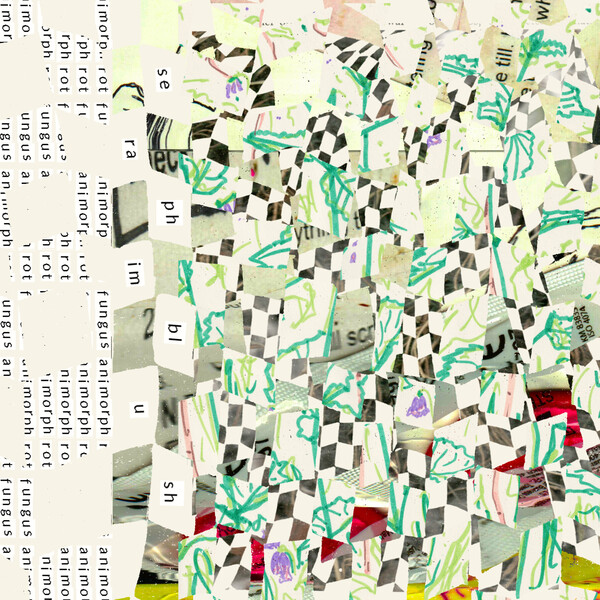 Cover art for Rot Fungus Animorph by Seraphim Blush