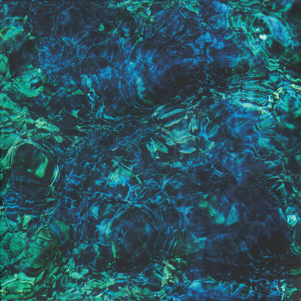 Luminescent Creatures by 青葉市子 [Ichiko Aoba] (Album; hermine