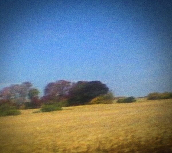 Benji by Sun Kil Moon (Album, Contemporary Folk): Reviews, Ratings 