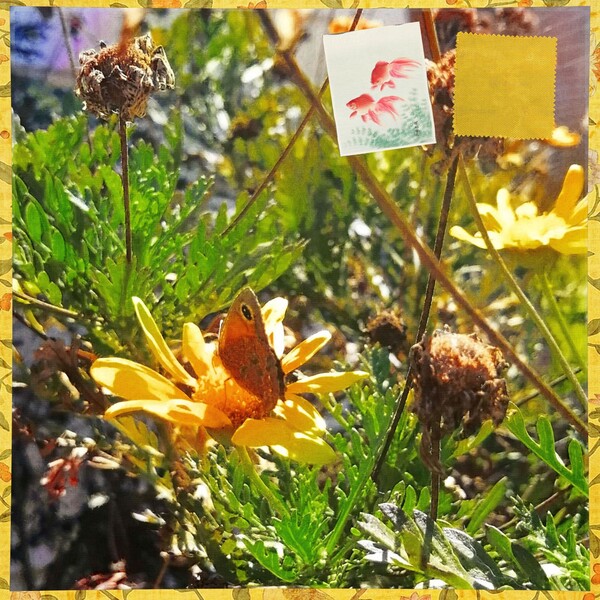 You Are Peace! You Are Love! by Lua Trilogy! & Mayfly Priestess (Album ...