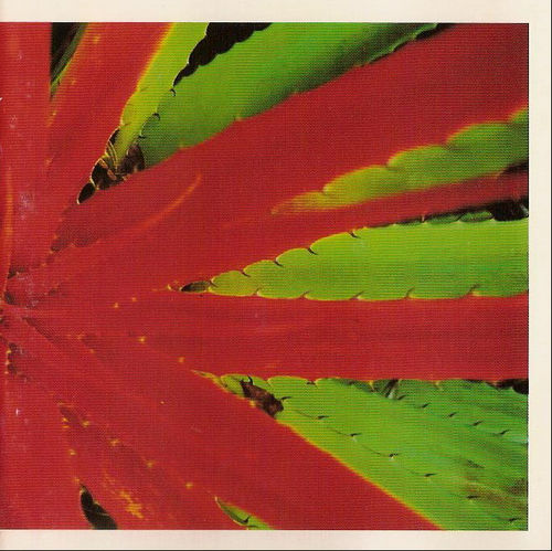 洋楽 jejune this afternoons malady CD This Afternoon's Malady by Jejune (Album, Midwest Emo