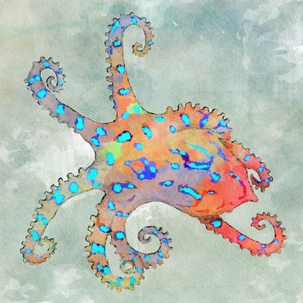 ドミコ Domico CD 廃盤 セット わおだいびんぐ