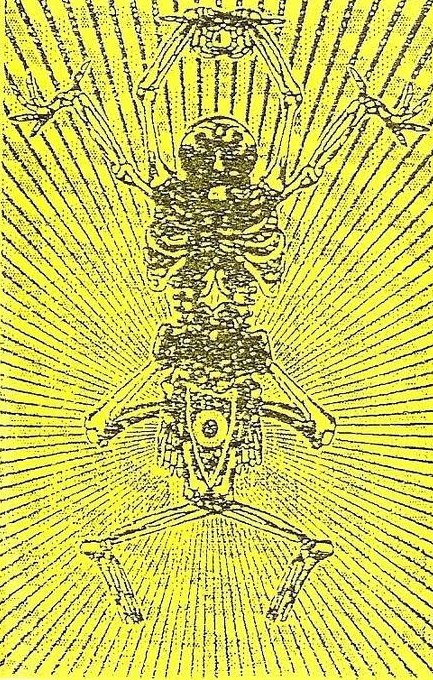 Cover art for The Mirror Sheds Tears by Entrata Aperta