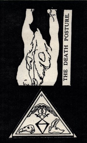 Cover art for The Death Posture by Gerstein