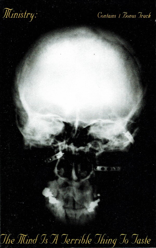 MINISTY「The Mind Is A Terrible Thing 〜」 The Mind Is a Terrible Thing to Taste - Wikipedia