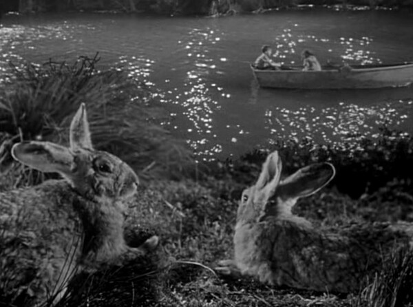 Rabbits in films - Rate Your Music