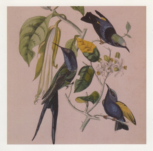 Music lists featuring Susumu Yokota - Rate Your Music