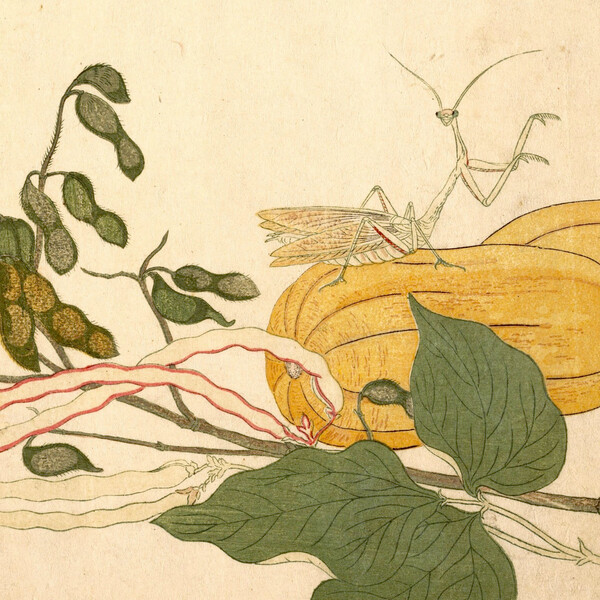 entomongaku by chypho.