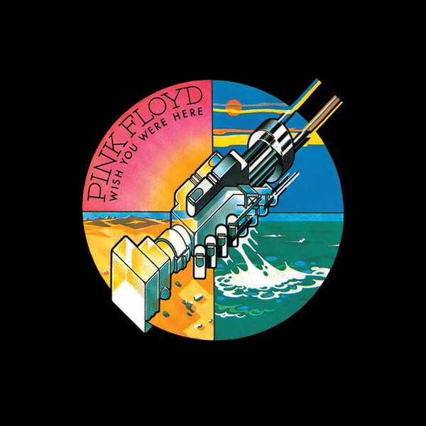 Shine on You Crazy Diamond Pts. 1-6 (Live at Wembley 1974