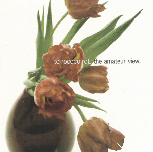 The Amateur View by To Rococo Rot (Album, Indietronica): Reviews