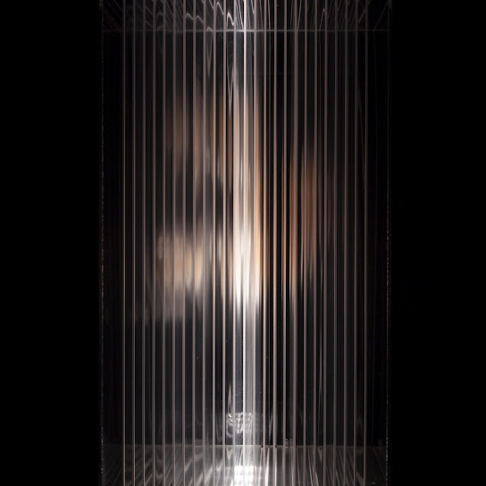 Birds Born in a Cage Think Flying Is an Illness by 1 Rebel Nation