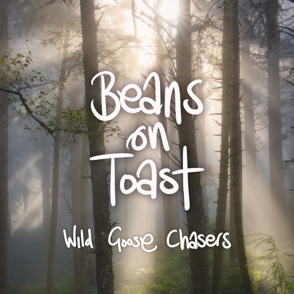Wild Goose Chasers by Beans on Toast (Album) Reviews, Ratings, Credits
