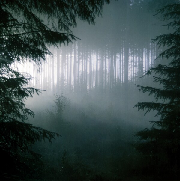 Forests of Witchery by Thy Serpent (Album; Kvlt): Reviews, Ratings 