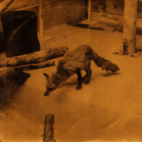 Cover art for Book of Hate by Kathleen Yearwood