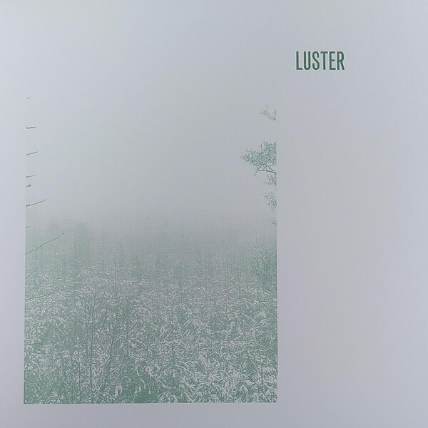 Luster Albums: songs, discography, biography, and listening guide ...