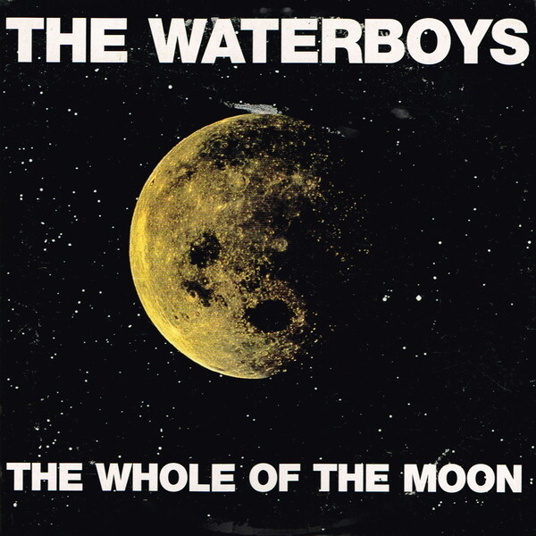 洋楽 THE WHOLE OF THE MOON 12\"/THE WATER BOYS The Waterboys - The Whole Of The Moon (Original 12
