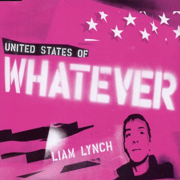 United states of whatever by liam lynch single comedy rock reviews