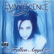 Fallen Angel by Evanescence (Bootleg, Hard Rock): Reviews, Ratings ...