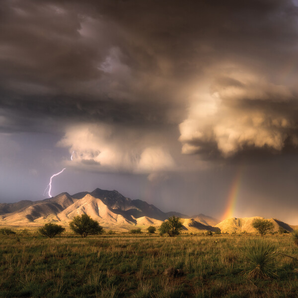 Why? by Beans on Toast (Single) Reviews, Ratings, Credits, Song list