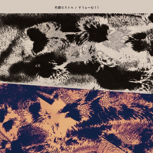 竹原ピストル アルバム12枚セット Amazon.co.jp: BEST BOUT - 竹原ピストル: ミュージック