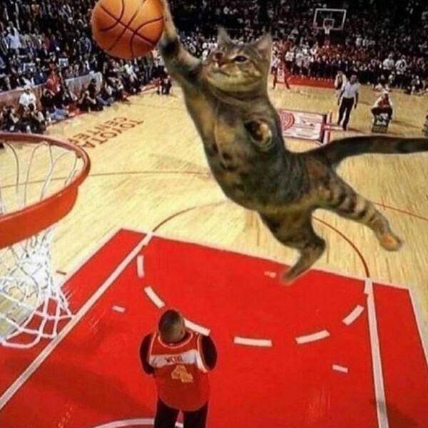 Cat Basketball 猫のバスケットボール by Ной Браун (EP Cat Basketball 猫のバスケットボール by Ной Браун (EP