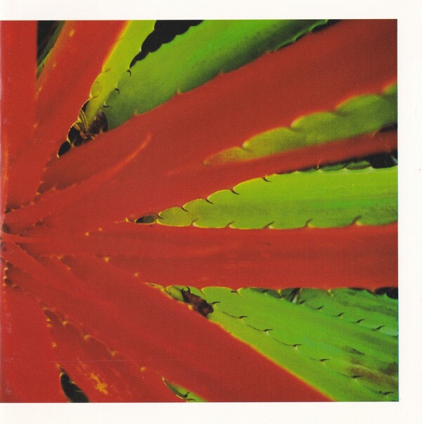 洋楽 jejune this afternoons malady CD This Afternoon's Malady by Jejune (Album, Midwest Emo