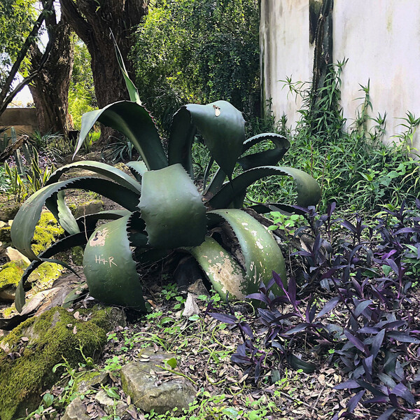 Cover art for Lisboa by Manja Ristić