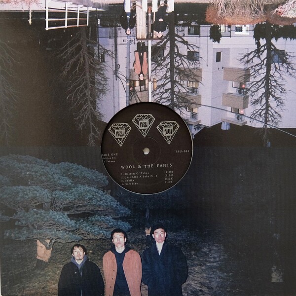 Wool & The Pants Albums: songs, discography, biography, and