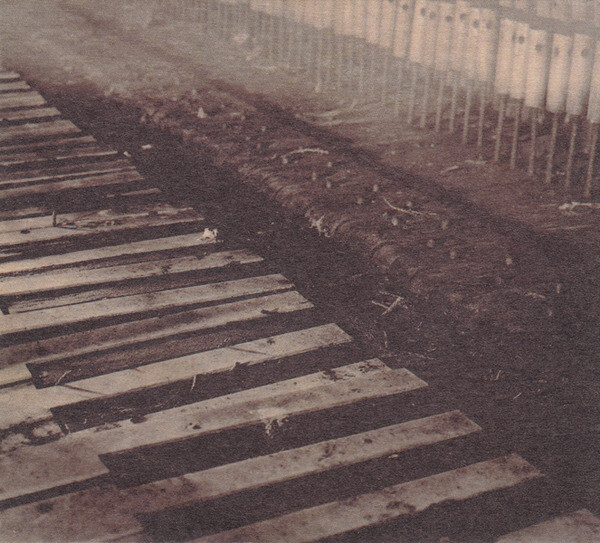 洋楽 Red House Painters ocean beach/shock me 813sNEU0rGL._UF1000,1000_QL80_.jpg