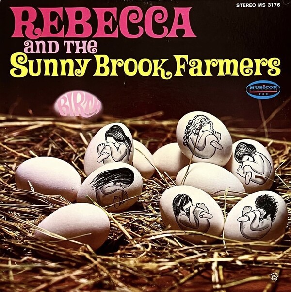 洋楽 REBECCA AND THE SUNNY BROOK FARMERS Rebecca And The Sunny Brook Farmers – Birth – Vinyl (LP