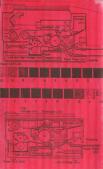 Cover art for Copia by Deaf Lions