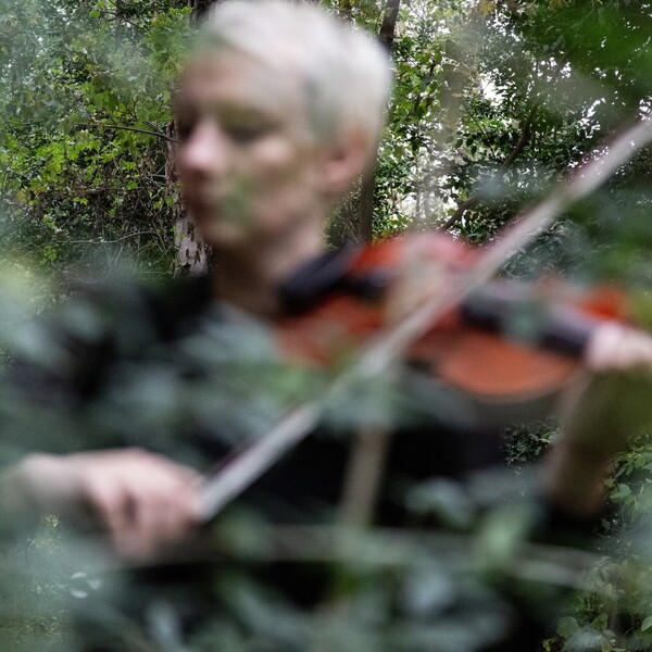 Cover art for Divided by Dusk by Magda Drozd