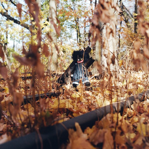 GOLLIWOG by billy woods (Album; Backwoodz): Reviews, Ratings