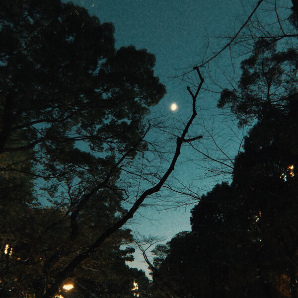 Cover art for Fractures on the Horizon by James Blackshaw