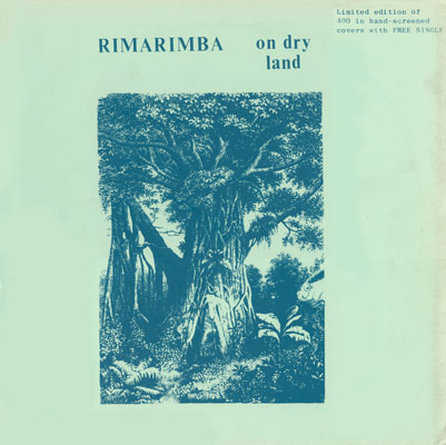 Cover art for On Dry Land by Rimarimba